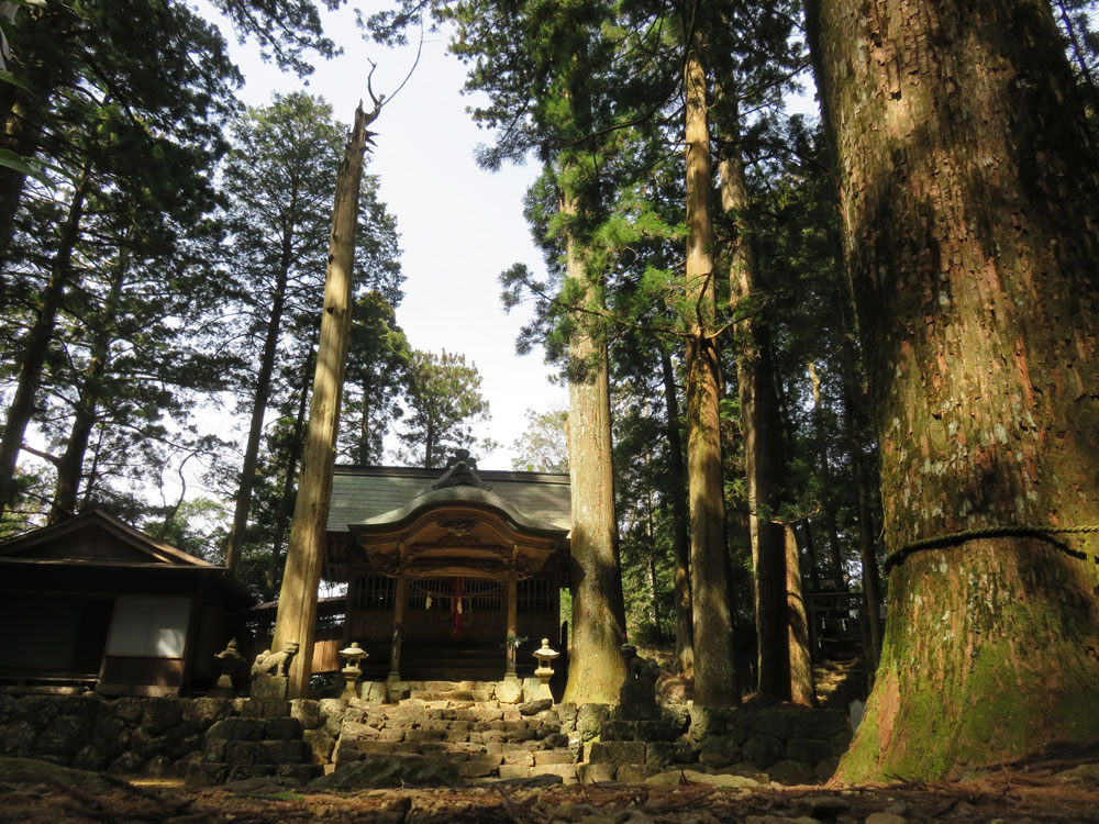 杉原神社の写風景真